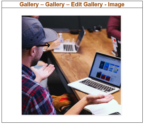 Gallery - 1
